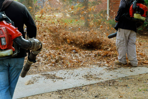 Fall cleanups in Bucks County