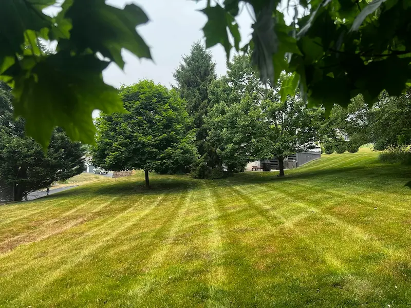 Lawn care in Doylestown