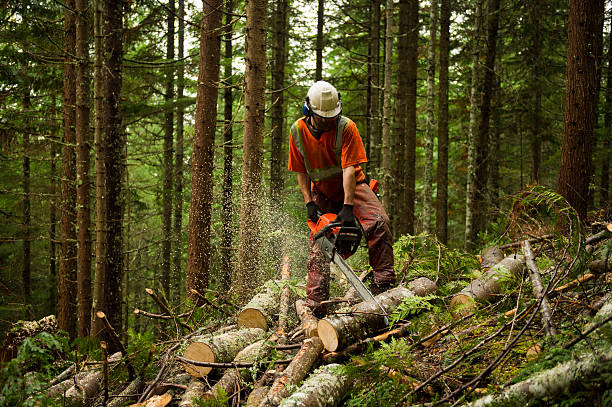 Tree services in Bucks County